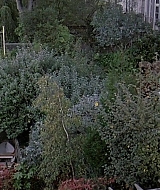 1976.jpg
