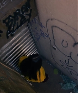 0540.jpg