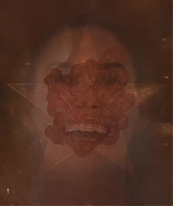 2393.jpg