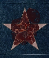 2411.jpg
